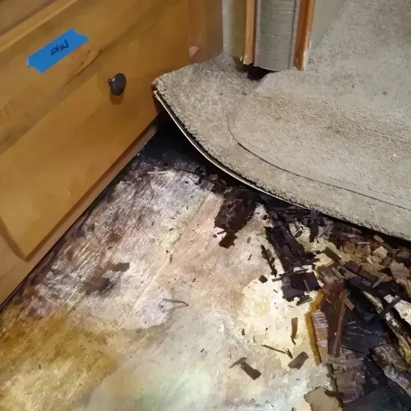 Wood Floor Water Damage in Wanamassa, NJ